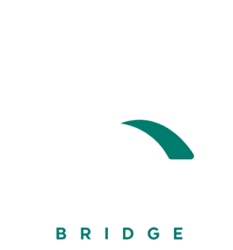Erasmus Bridge